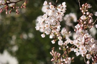 a0990_000877.jpg